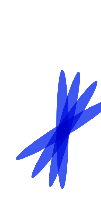 vector